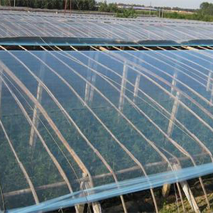 Je, ni faida na hasara gani za filamu zinazotumiwa kwa kawaida katika greenhouses?